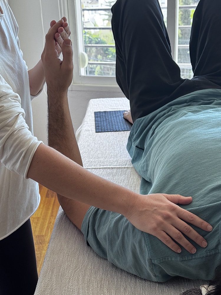 Germana Técnica Alexander